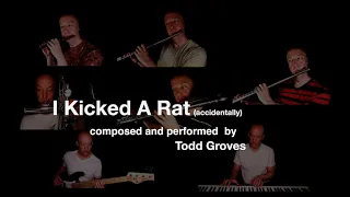 I Kicked A Rat (accidentally) - Todd Groves