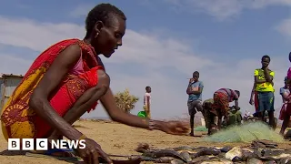 Kenya's Lake Turkana floods as East Africa faces drought – BBC News