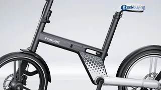 TOGO85 Shaft drive Electric Bike: Best of the BEST!