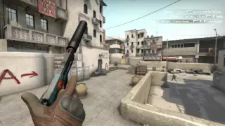 [Epic] USP-S Ace Pistol Round