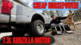 Cheap horsepower for your 7.3L Godzilla Ford!!   And Mountain Biking!