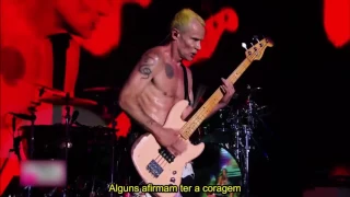 Red Hot Chili Peppers - Tell Me Baby -  Legendado Pt-br