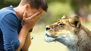 The Man Couldn't Ignore This crying Lioness, What She Did Next Left Him Very Shocked !