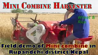 Chinese Mini Combine Harvester | Wheat Harvesting | In Rupandehi, Nepal