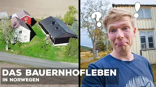 Bauernhof in Norwegen - Unser Leben nach 8 Monaten