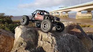 Axial Capra on the rocks at Severn Beach