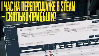 1 ЧАС НА ПЕРЕПРОДАЖЕ - СКОЛЬКО ПРИБЫЛИ? ЗАРАБОТОК В STEAM