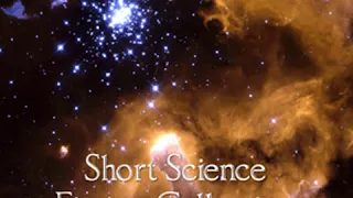 Short Science Fiction Collection 004 by VARIOUS read by Various | Full Audio Book