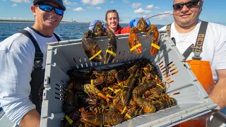 Dirty TRUTH Behind Lobster...Catch Clean Cook- Maine Lobster (Cape Cod)