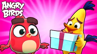 Angry Birds | Birds just want to have fun ☀️