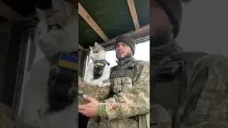 😍Даже боевой Котей на страже Украины! А путин с шайкой скоро будет бегать по полям от снайперов🇺🇦