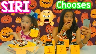 Siri chooses my Mystery bags Halloween Slime Ingredients Challenge!!!