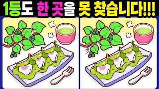 【다른그림찾기/치매예방】1등도 한 곳을 못 찾습니다!【틀린그림찾기/두뇌운동/숨은그림찾기/Find the Difference/치매예방퀴즈】979