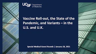 Covid-19: Vaccine Roll-out, the State of the Pandemic, and Variants – in the U.S. and U.K.