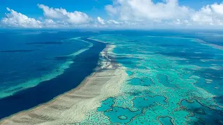 Australian government pumps cash into Great Barrier Reef protection