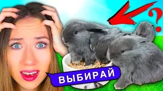 ПОСЛЕДНИЙ ДЕНЬ ПОМОГИТЕ ВЫБРАТЬ КТО НОВЫЙ ПИТОМЕЦ ЭЛЛИ ДИ | Elli Di Pets