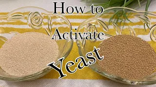 Instant Yeast vs Active Dry Yeast | How to Activate Yeast