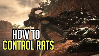 Plague Tale Requiem How to Control Rats