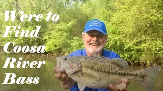 Where To Find A Coosa River Bass - Weiss Lake Bass Fishing
