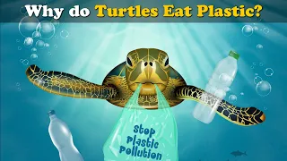 Why do Turtles Eat Plastic? + more videos | #aumsum #kids #science #education #children