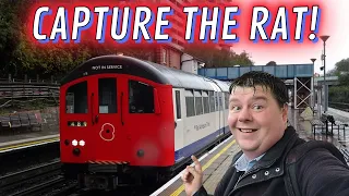 Chasing both 1962 Tube Stock Trains on the Central Line