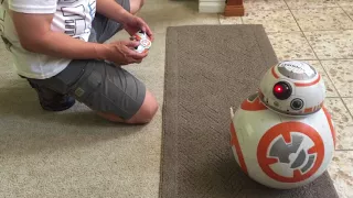Spin Master Hero Droid BB-8 review