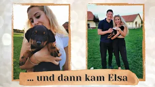 ... und dann kam Elsa | Wir holen uns einen Rottweiler-Welpen