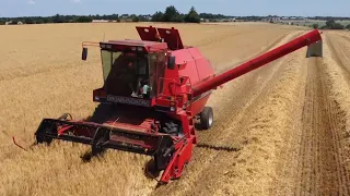 Dronningborg D7200 Harvesting Winter Barley 2021