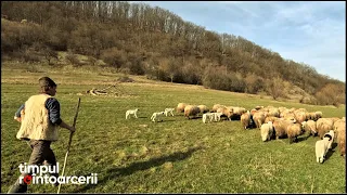 "Acasă ești în Raiul tău"- Ionuț Lazăr, tânărul cioban din satul Deleni, județul Mureș