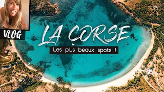 LA CORSE |  Les PLUS BEAUX SPOTS !  - VLOG & ROAD TRIP en CORSE