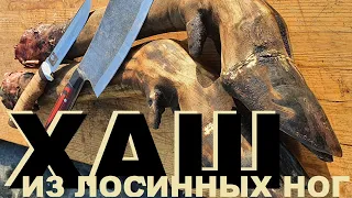 ХАШ из лосинных ног и другие приключения СЮФика.