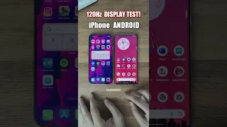iPhone vs Android - 120Hz Display Test 😎 #shorts