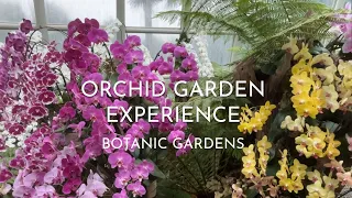 WHAT LIES WITHIN THIS ORCHID GARDEN ?! LET'S FIND OUT !