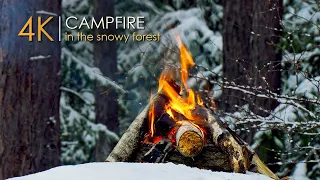 Bonfire in a Snowy Forest ❄️ Natural Ambience & Winter Mood