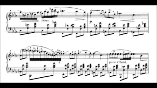 F. Chopin : Nocturne op. 9 no. 2 in E flat Major (Rubinstein)