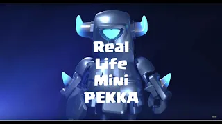 REAL LIFE MINI PEKKA