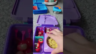 School lunch | OmieBox lunch | Lunchbox for school | School lunch for kids