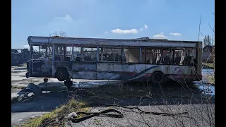 Bus graveyard