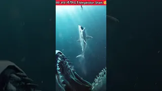 OMG 😯 क्या आज भी जिन्दा है Megalodon shark 🧐 #shorts