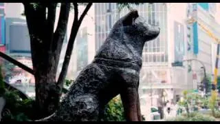 siempre a tu lado , HACHIKO - latino - parte 10 FINAL