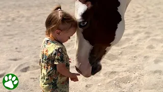 Two-year-old horse whisperer