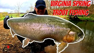 Virginia Spring Trout Fishing