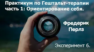 Практикум по гештальт-терапии.