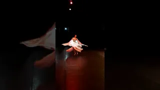 Ana Claudia Borges - Dança com véu wings