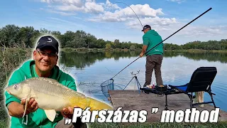 DOVIT METHOD FEEDER - "Párszázas" method