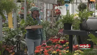 Memorial Day brings another busy weekend at area greenhouses