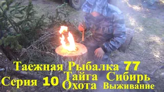 Мороз в тайге Серия 10 Таежная Рыбалка 77 Выживание Охота Поход Лес Сибирь Медведь, Тайга, Хариус, Т