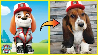 Paw Patrol Characters In Real Life Part 2 👉 @ZizoList