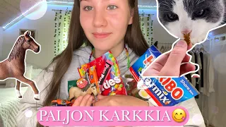 KARKKIPÄIVÄ🍬😋 |Avataan Postia 2|