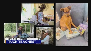 Teacher helps kids learn to read with help from dog